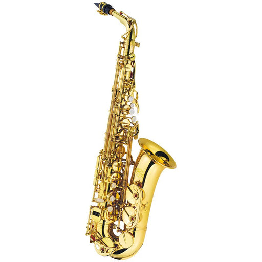 J. Michael AL-500 E♭ Alto Saxophone Outift - Fair Deal Music