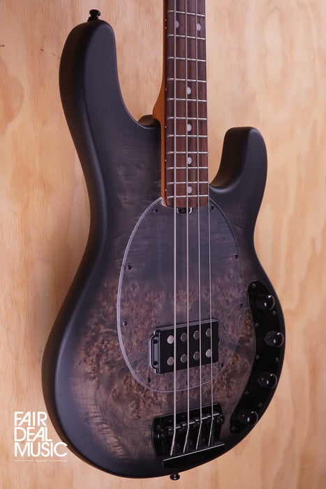 Sterling by Music Man Ray34 Poplar Burl in Transparent Black Satin, USED - Fair Deal Music