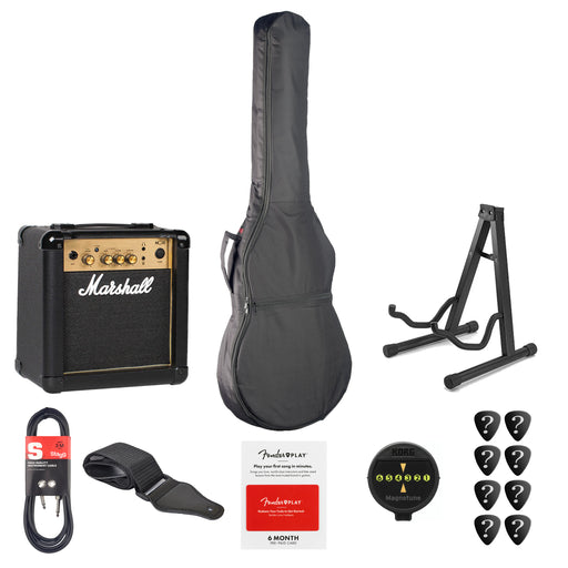 Ultimate Electric Guitar Accessories Bundle - Fair Deal Music