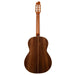 Godin Collection Nylon String Guitar - Fair Deal Music