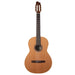 Godin Collection Nylon String Guitar - Fair Deal Music