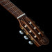 Godin Concert Nylon String Guitar - Fair Deal Music