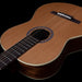 Godin Concert Nylon String Guitar ~ Left Hand - Fair Deal Music