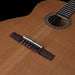 Godin Etude Nylon String Guitar - Fair Deal Music