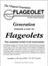 Generation Music Flageolet with Booklet - Fair Deal Music