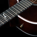 Seagull Artist Peppino Signature C/A Electro-Acoustic Guitar ~ Bourbon Burst with Bag - Fair Deal Music