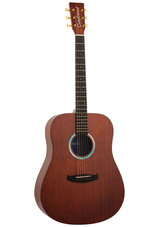 Tanglewood Elemental TE5BL Dreadnought Acoustic Guitar, Natural Satin - Fair Deal Music