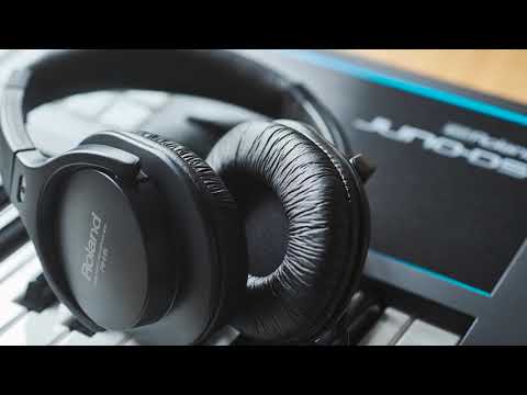 Roland RH-A7 Open-type Headphones - Fair Deal Music